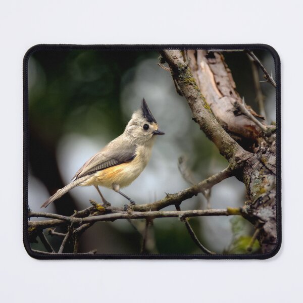 Item preview, Spiky The Titmouse designed and sold by Debra Martz.