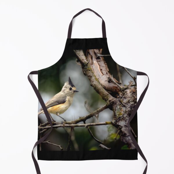 Item preview, Spiky The Titmouse designed and sold by Debra Martz.