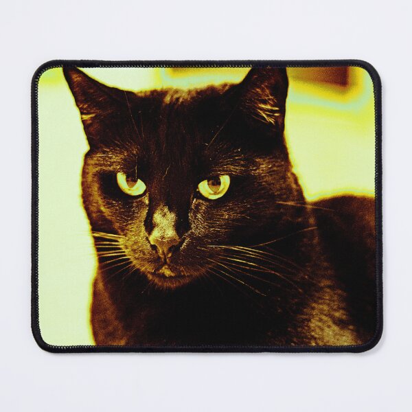 Item preview, Cat designed and sold by Geoff Treagus.