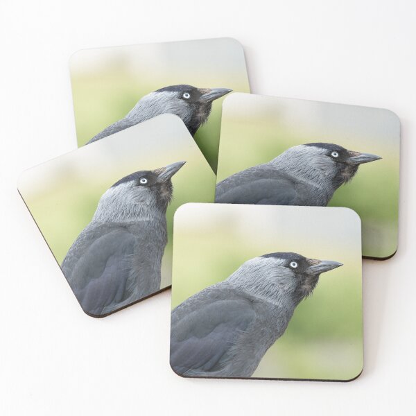 Item preview, Jackdaw Profile designed and sold by Jane Stanley Photography.