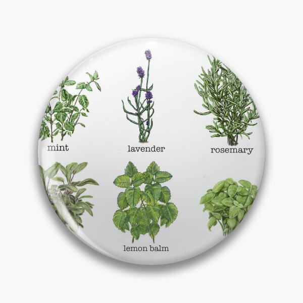 Item preview, Common Garden herbs designed and sold by Veganheathen.
