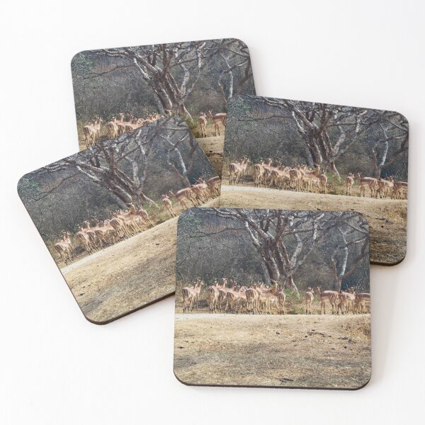 Item preview, Herd of Impalas in African Wilderness – Wildlife Photography Wall Art designed and sold by jacoalberts.