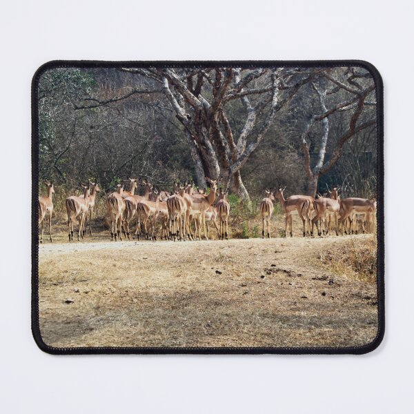 Item preview, Herd of Impalas in African Wilderness – Wildlife Photography Wall Art designed and sold by jacoalberts.