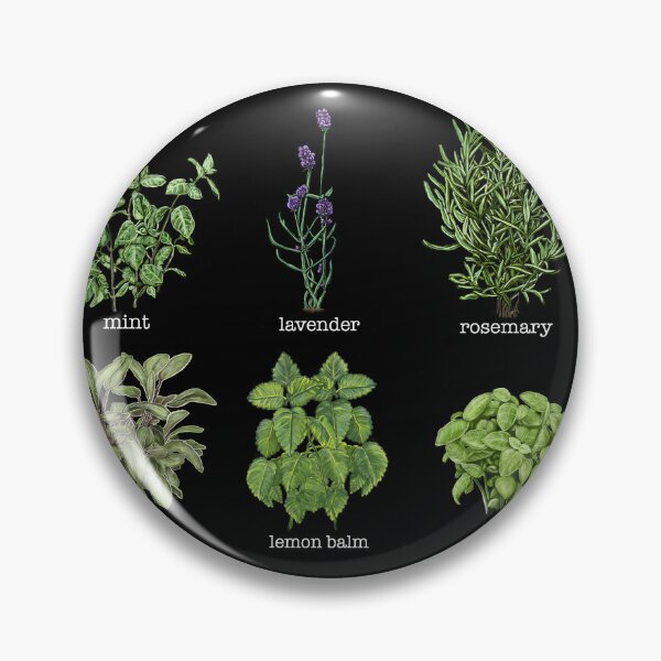 Item preview, Light text version of Common Garden herbs designed and sold by Veganheathen.