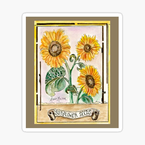 Sunflower Seeds - watercolor and pen Sticker