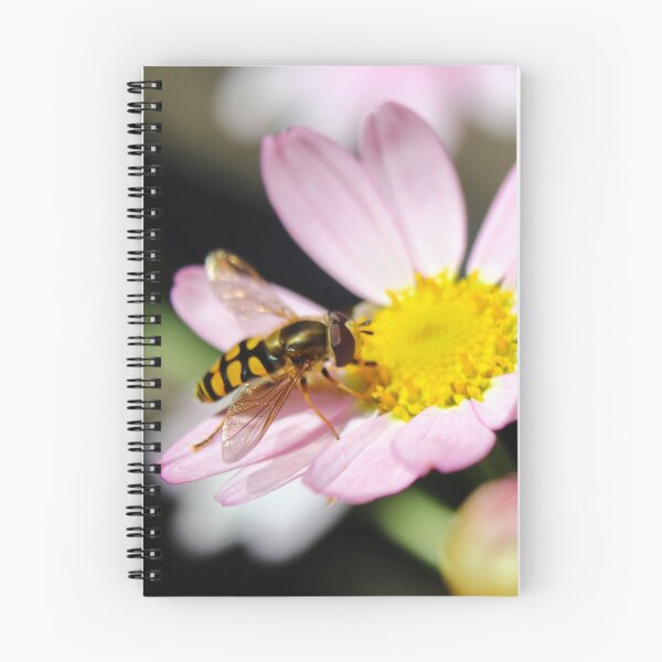 Item preview, Migrant hoverfly designed and sold by GreyFeatherPhot.