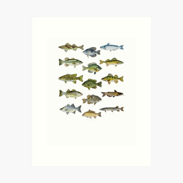 Item preview, Fish Species Dad Fishing Buddy Love Fishing designed and sold by Shosohey.