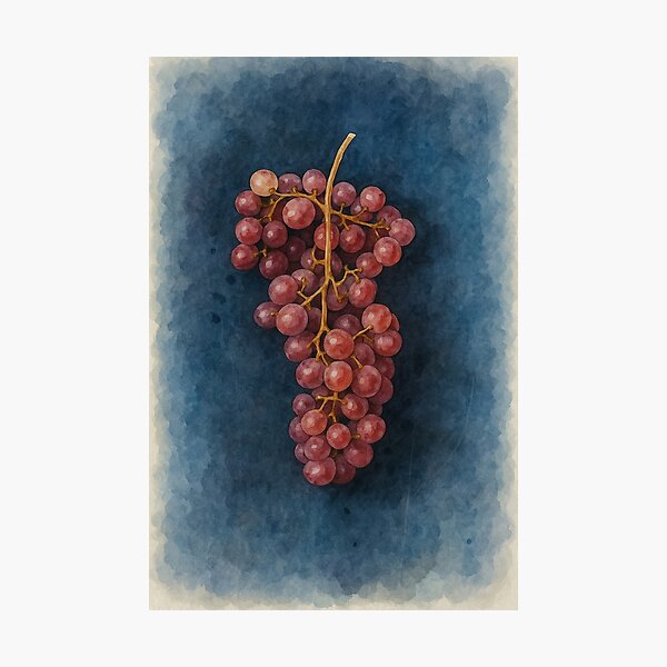 Item preview, Watercolor Red Grapes  designed and sold by Pacika.