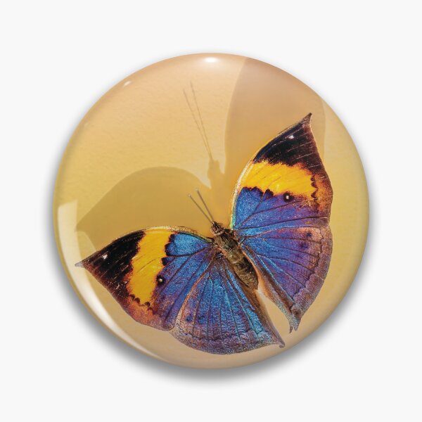Item preview, Indian Leafwing Butterfly  designed and sold by Kay Brewer.