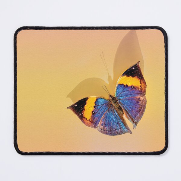 Item preview, Indian Leafwing Butterfly  designed and sold by Kay Brewer.