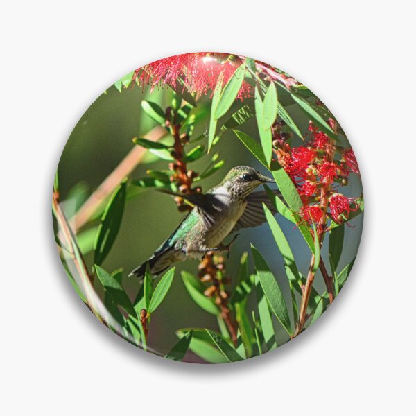 Item preview, Hungry Hummer designed and sold by LisaWootenPhoto.