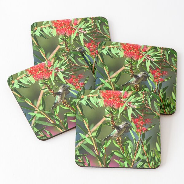 Item preview, Hungry Hummer designed and sold by LisaWootenPhoto.