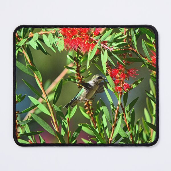 Item preview, Hungry Hummer designed and sold by LisaWootenPhoto.