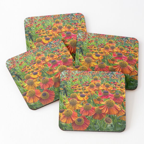 Item preview, Helenium Flowers – Vibrant Summer Garden Colour designed and sold by bailey-cooper.