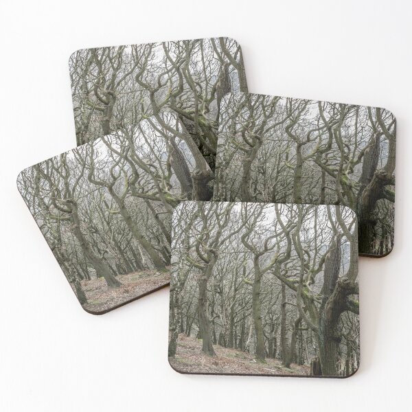 Item preview, Twisted Winter Trees – Ancient Woodland Scene designed and sold by bailey-cooper.