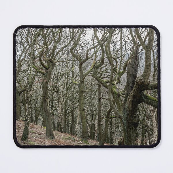 Item preview, Twisted Winter Trees – Ancient Woodland Scene designed and sold by bailey-cooper.