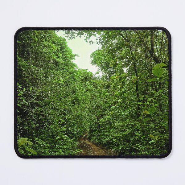 Item preview, Misty Jungle Trail | Lush Green Forest Path Nature Photography Print designed and sold by Fortunately01.