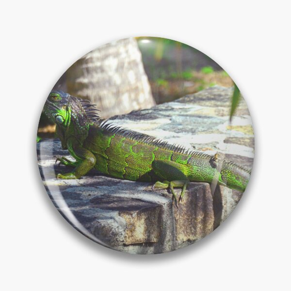 Item preview, Iguana  designed and sold by LisaWootenPhoto.