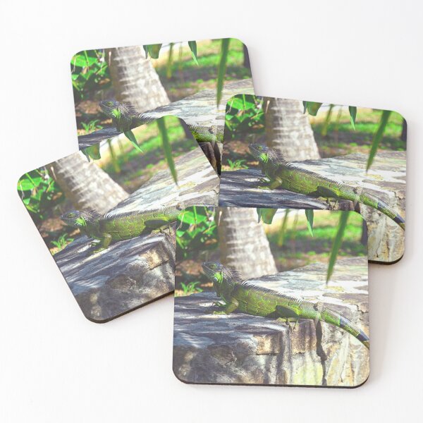 Item preview, Iguana  designed and sold by LisaWootenPhoto.