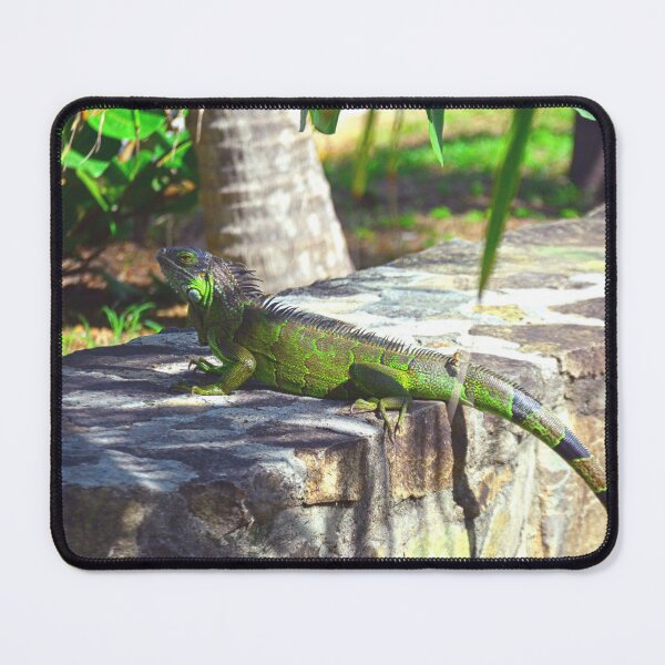 Item preview, Iguana designed and sold by LisaWootenPhoto.