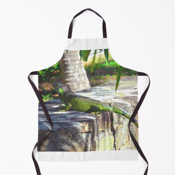 Aperçu de l'œuvre Iguane créée et vendue par LisaWootenPhoto.