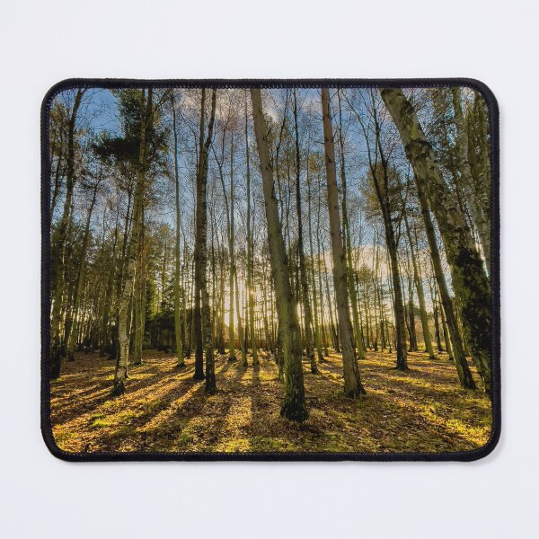 Item preview, Forest Shadows – Low Sun Through Trees designed and sold by bailey-cooper.