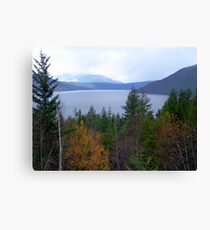 Near Salmon Arm Canvas Print