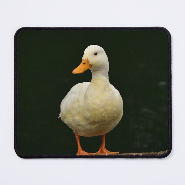 Item preview, White Duck designed and sold by alex987854.