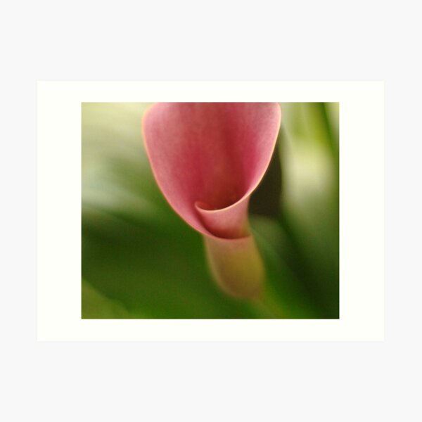 Growing Up Art Print