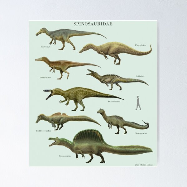 Item preview, SPINOSAURIDAE. Spinosaurus family dinosaurs. paleoart designed and sold by Mario Lanzas.