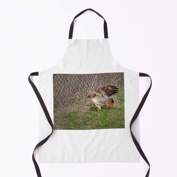 Item preview, Red tailed hawk, Madison, Wisconsin 2 designed and sold by StevenRalserPhoto.