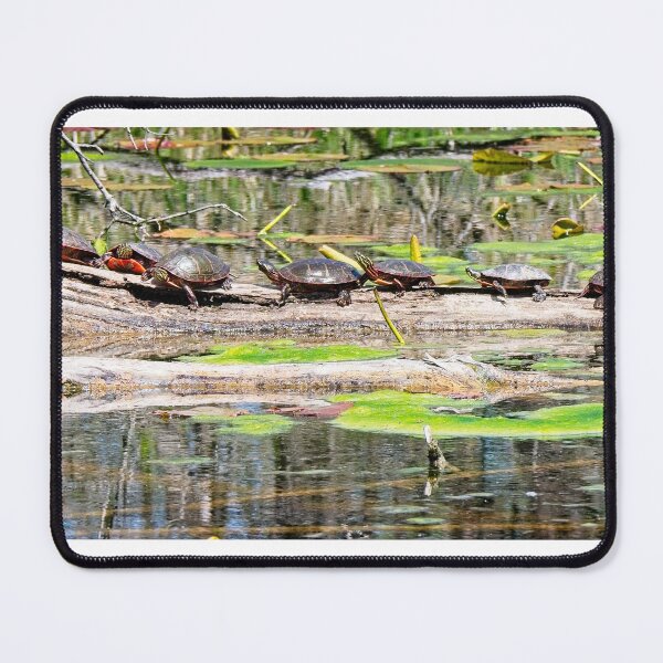 Item preview, Turtles on Log, Madison, WI designed and sold by StevenRalserPhoto.