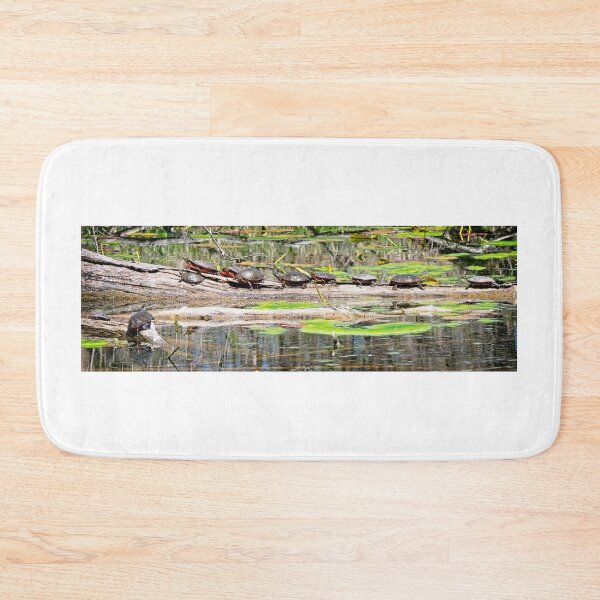 Item preview, Turtles on Log, Madison, WI designed and sold by StevenRalserPhoto.