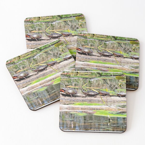 Item preview, Turtles on Log, Madison, WI designed and sold by StevenRalserPhoto.