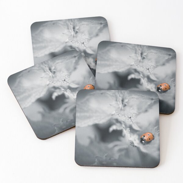 Item preview, Ladybird on grey  designed and sold by Mothboybrown.