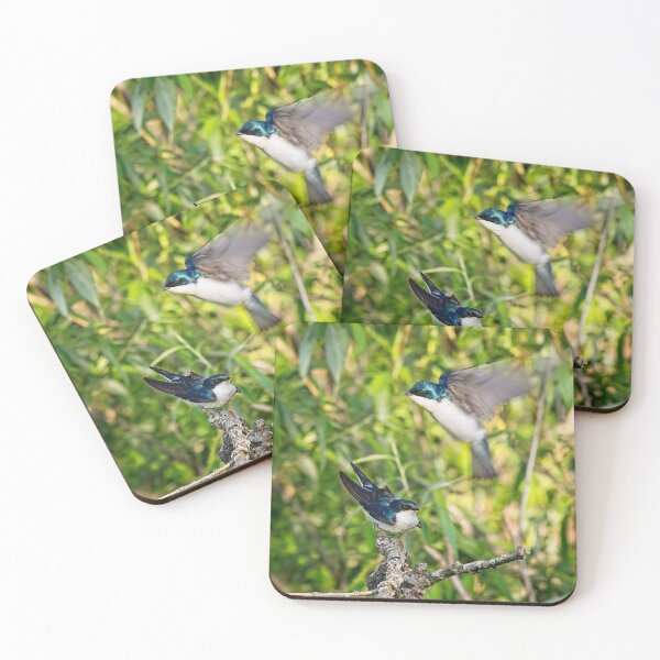 Item preview, Tree Swallows mating, Madison, Wisconsin designed and sold by StevenRalserPhoto.