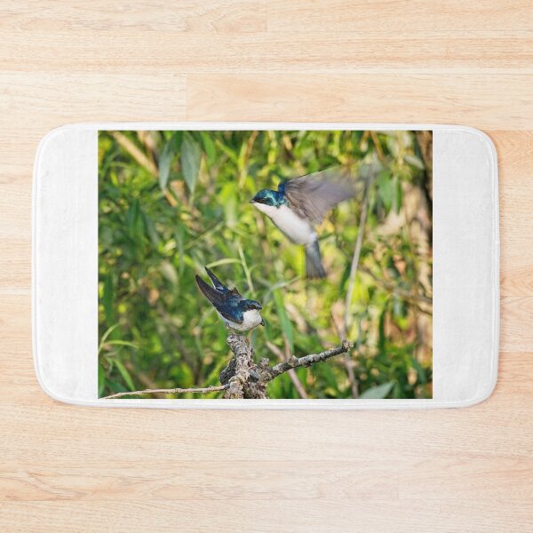 Item preview, Tree Swallows mating, Madison, Wisconsin designed and sold by StevenRalserPhoto.