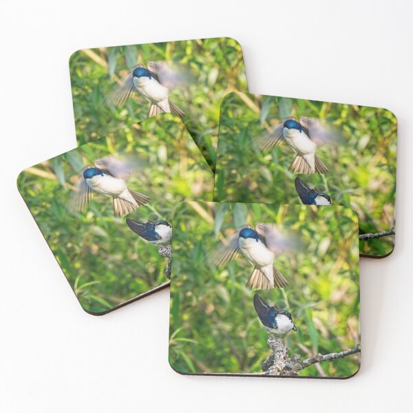 Item preview, Tree Swallows mating, Madison, Wisconsin designed and sold by StevenRalserPhoto.