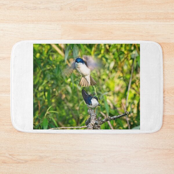 Item preview, Tree Swallows mating, Madison, Wisconsin designed and sold by StevenRalserPhoto.