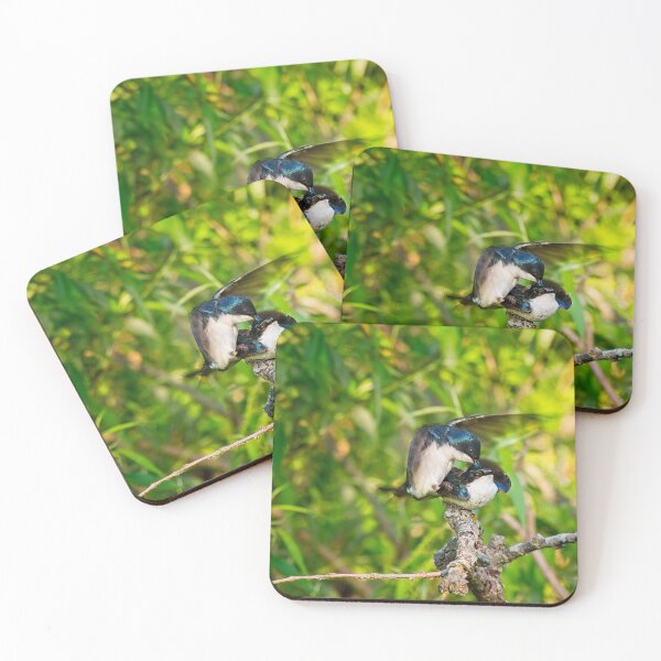 Item preview, Tree Swallows mating, Madison, Wisconsin 3 designed and sold by StevenRalserPhoto.