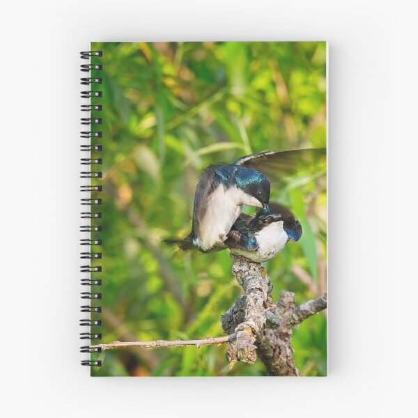 Item preview, Tree Swallows mating, Madison, Wisconsin 3 designed and sold by StevenRalserPhoto.