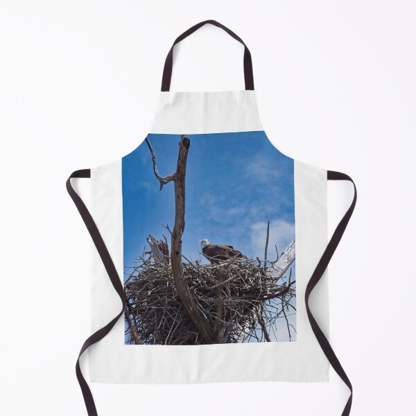 Item preview, Bald Eagle and Eaglet, UW Arboretum, Madison, WI A designed and sold by StevenRalserPhoto.