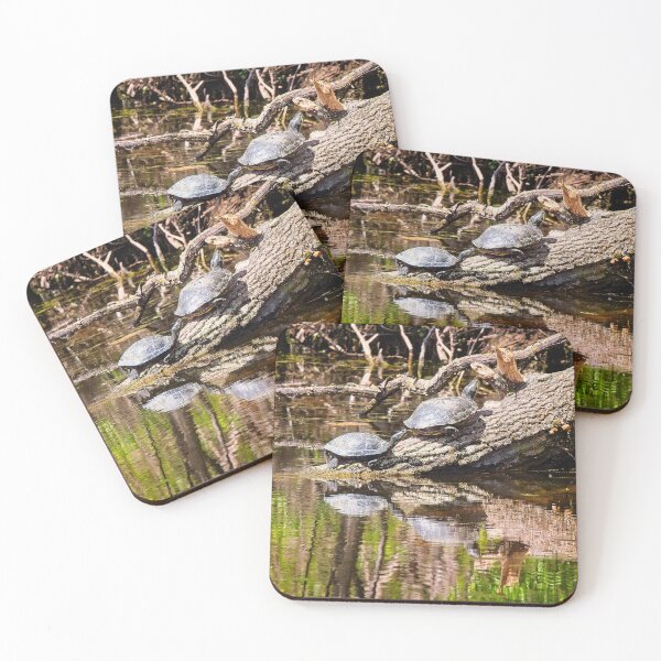 Item preview, Turtles on Log, Madison, WI 2 designed and sold by StevenRalserPhoto.