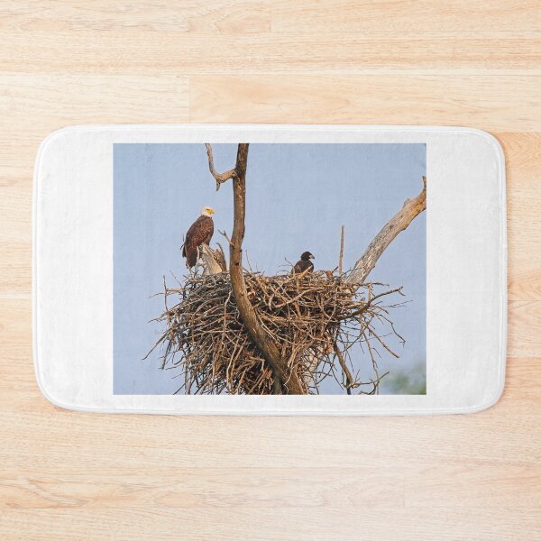 Item preview, Bald Eagle and Eaglet, UW Arboretum, Madison, WI 4 designed and sold by StevenRalserPhoto.