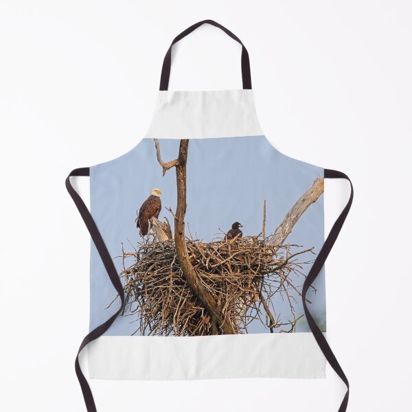 Item preview, Bald Eagle and Eaglet, UW Arboretum, Madison, WI 4 designed and sold by StevenRalserPhoto.