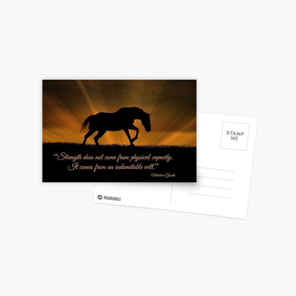 Carte De Vœux Carte D Encouragement Du Cheval Citation De Gandhi Sur La Force Par Lazyl Redbubble