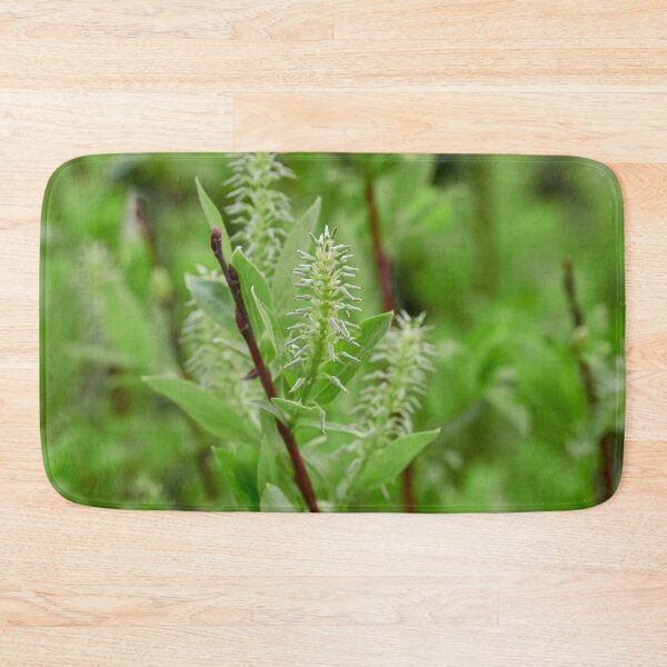 Item preview, When the seeds grow. Halberd Willow designed and sold by Jouko Lehto Photography.