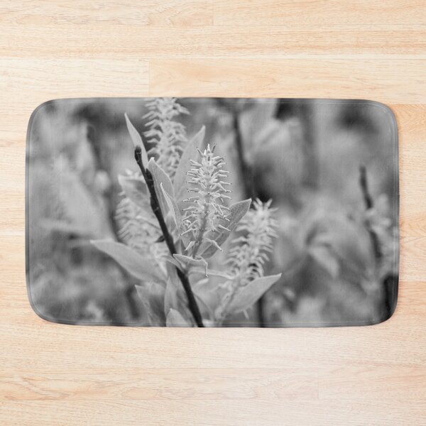 Item preview, When the seeds grow. Halberd Willow bw designed and sold by Jouko Lehto Photography.