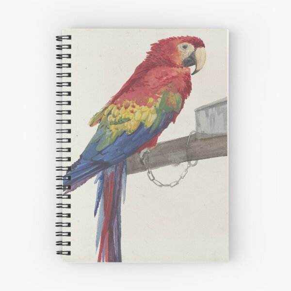 Item preview, Parrot (1879) designed and sold by 19th Century in Color.