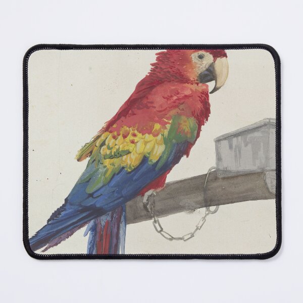 Item preview, Parrot (1879) designed and sold by 19th Century in Color.